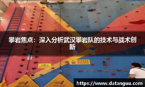攀岩焦点：深入分析武汉攀岩队的技术与战术创新
