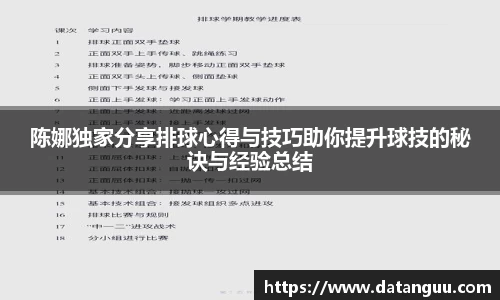 陈娜独家分享排球心得与技巧助你提升球技的秘诀与经验总结